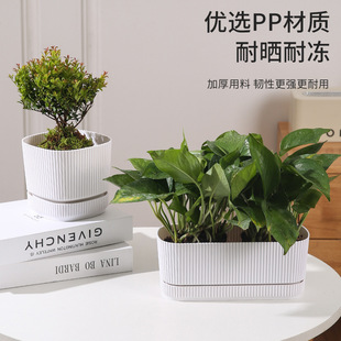 �Ӻ�PP���ϻ����͕��̓��Q�y��������̨�Gֲ��������ˮ�������l