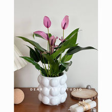 �H�۵ľGֲ�����R������՚��^�~�������ԕ����k���҃�����