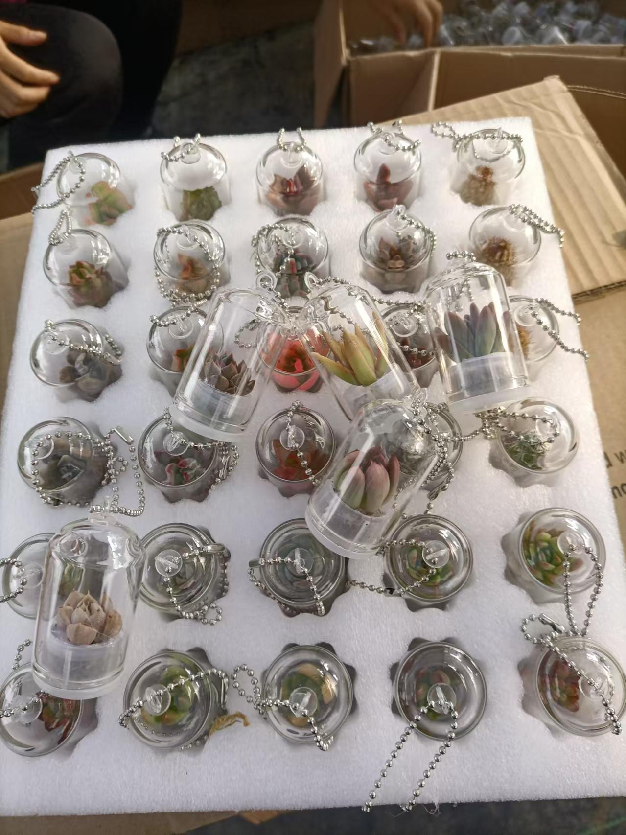 微信图片_20241021090857