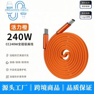 �����N�N240W������䔵���������m���O���A��ƽ��PD��늾�type-c