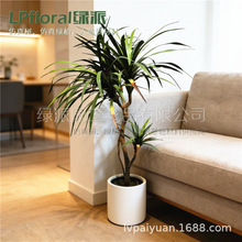�羳���Q؛Դ���W������Ѫ�����Gֲ���Կ͏d��ش����҃�ܛ�b