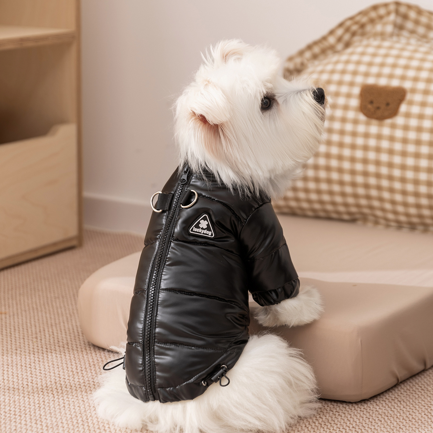 Ropa de mascotas de otoño y invierno, chaqueta de plumón de dos patas gruesa y cálida, perros pequeños y medianos pueden traer perros, gatos, trajes de oso