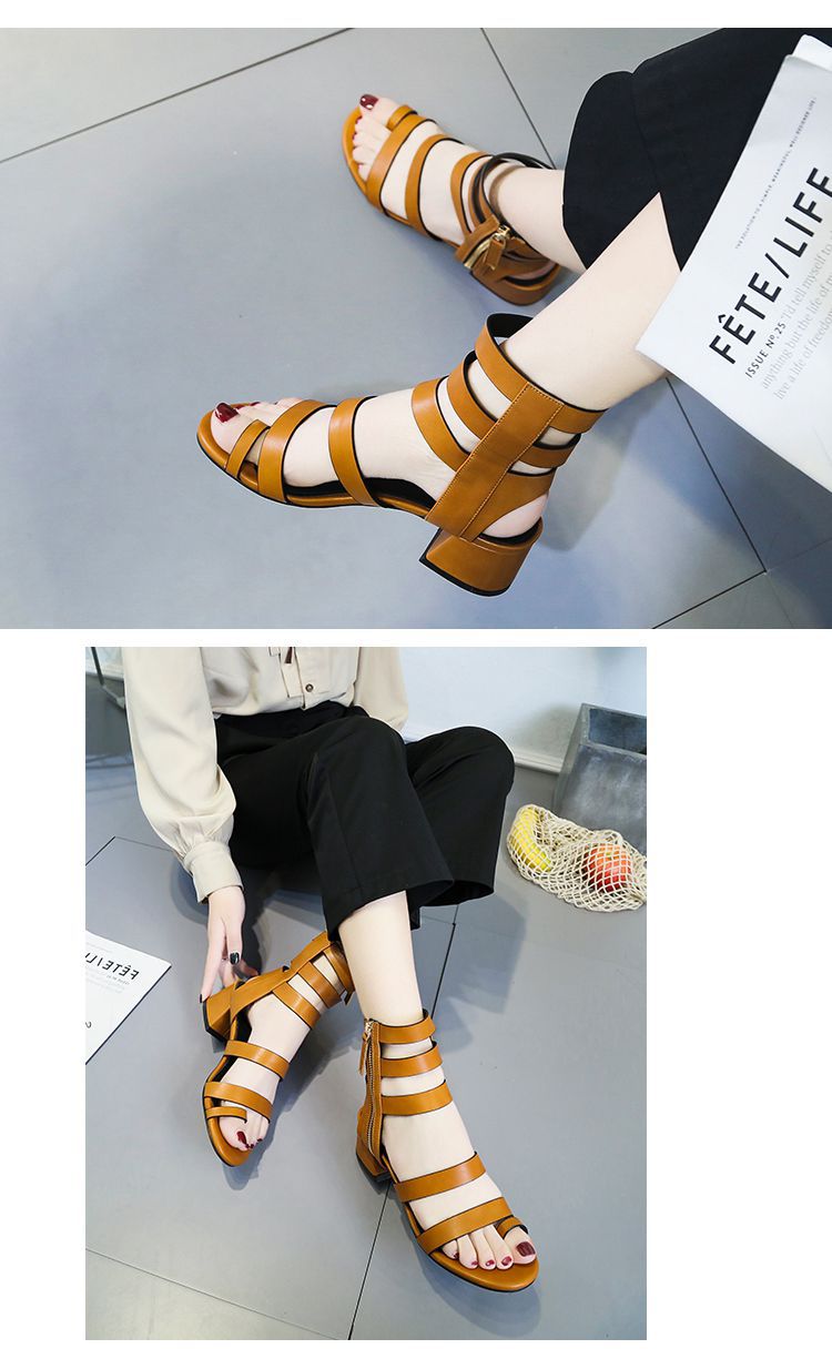 2019031919547565018130_副本