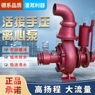 Double Impeller Centrifugal Pump Hand Pressure Drag Pump Water Pump Agricultural Water Pump Farmland Irrigation High Lift Large Flow Water Pump