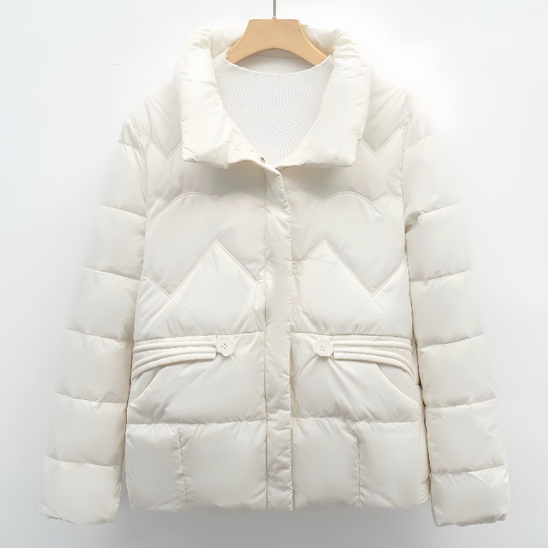 Women's down Jacket Winter New Korean Style Design Lapel Versatile Short Fashion Trendy Coat