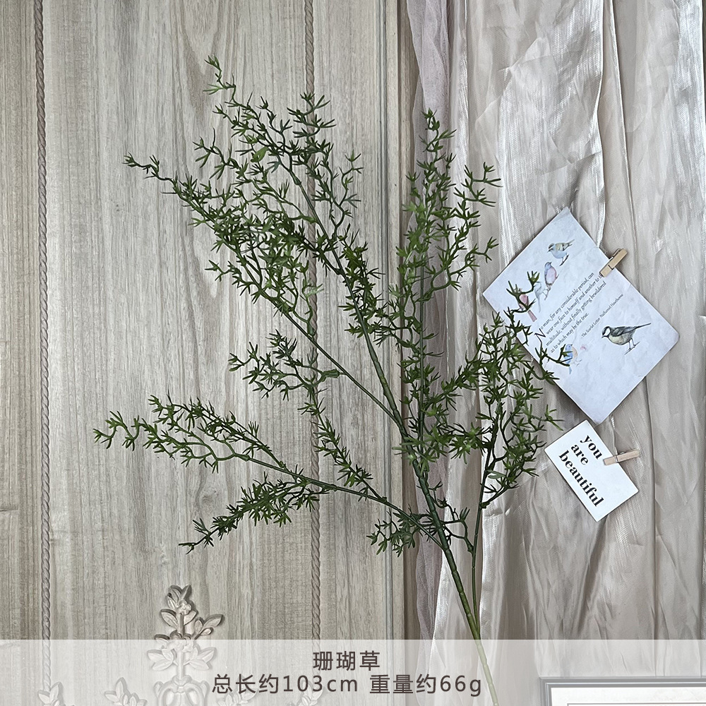 YM-산호초-짙은 녹색