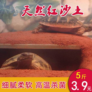 ��Ȼ�t������|�ļt�����tɳ���S���o�����S����������ɳ���|��