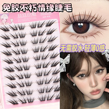 �����龉��ë��С��Ƭ����˹��ٽ�ë��ܛ���W���[�����ֆδ����z