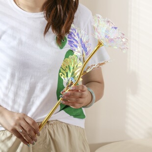 ���l50�����ش�òʲʽ�õ���}�Q�𲭻� �Ҿ��b� ��Ϧ���˹��Y��