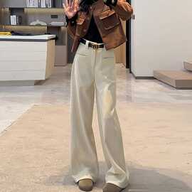 高级感宽松显瘦遮胯休闲裤子女秋冬新款时尚小个子高腰垂感拖地裤
