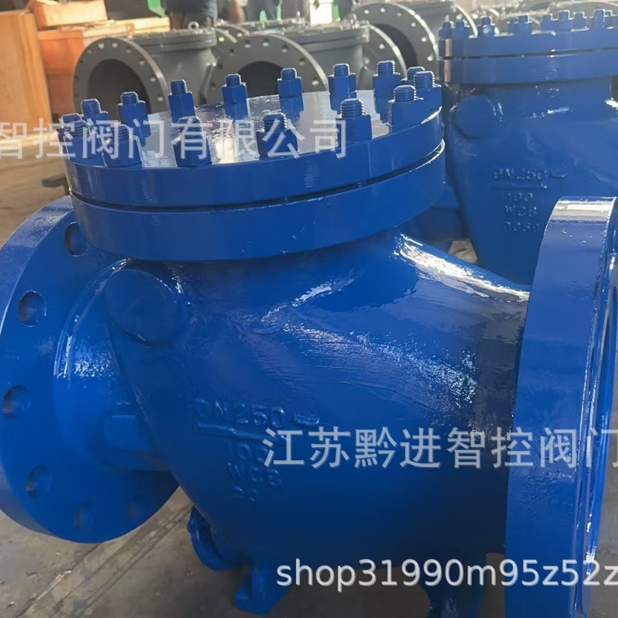 HH44Y-100压力10.0Mpa DN250高温微阻缓闭止回阀 煤矿专用阀HH44X