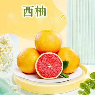 �����t������ ���l3/5/9��/3/5/9����С����������֭���rˮ��