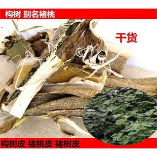 �����Ƥ����Ƥ�����ș�Ĳ�����Ƥ�����Ƥ����