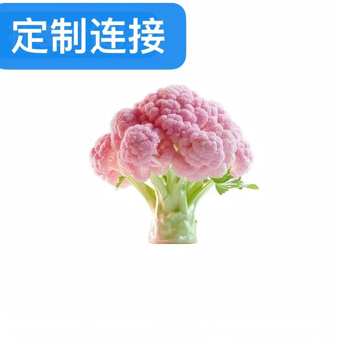 Примерная ссылка