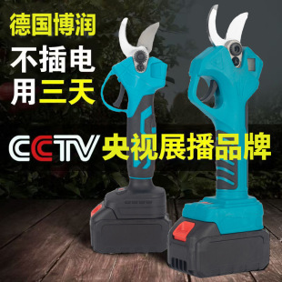 Professional Cross-Border Electric Pruning Shears Lithium Battery Shears Garden Fruit Tree Branch Scissors Gardening Branch Pruning Power Tools