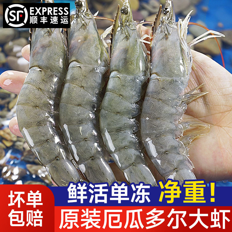 厄瓜多尔白虾鲜活速冻虾盐冻大虾特大号新鲜冻虾南美冷冻对虾水产