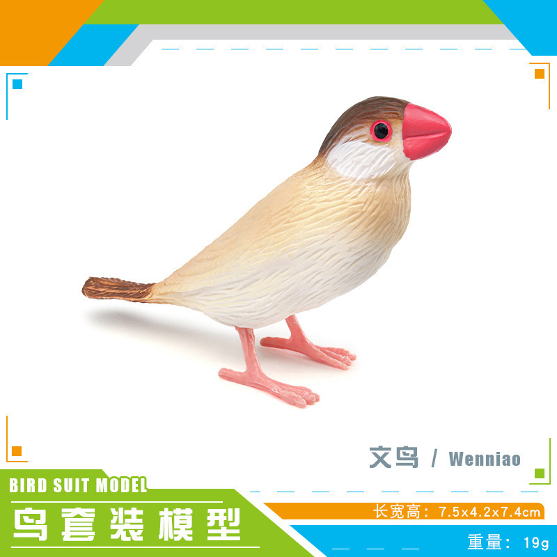 Simulación amazónica de pájaros hummingbirds, colibríes, pájaros, aves, animales, modelos de escritorio, juguetes decorativos estáticos