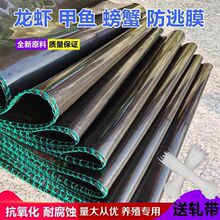 ����С���~ȫ�׼Ӻ��Bֳ�ӷ���Ĥ���W�����r����������r�W�����