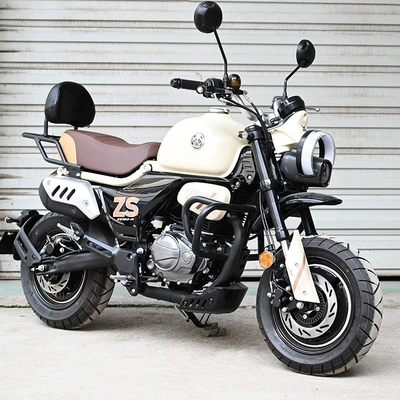 Motorcycle tail — for Zongshen Dundun mini rear