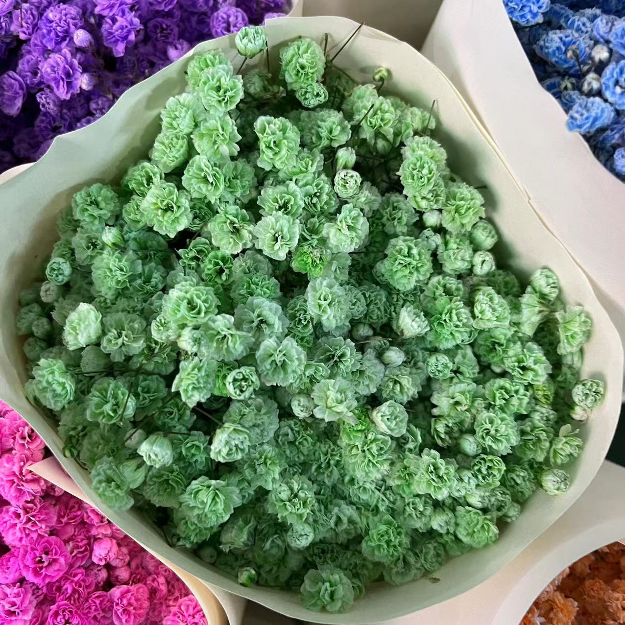 微信图片_20230222233642