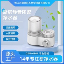 跨境专用净水器自来水家用厨房电器龙头双出口前置过滤器商业用机