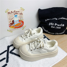 2025СЬŮWٴ߰Ьn\eЬŮЬ