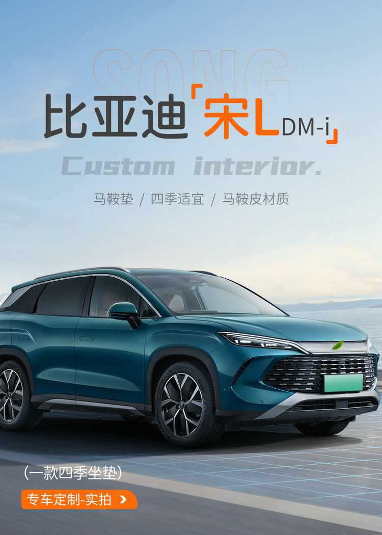 2025 BYD Song L dmi seat cover, rear full seat cushion
