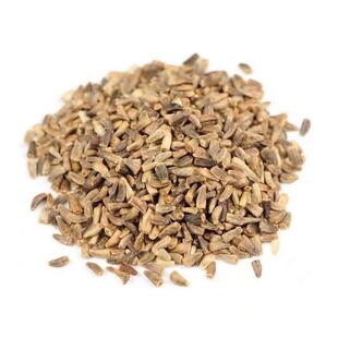 Chicory Seeds, Large-Leaf Perennial Pig Feed Seeds, Grass Seeds That Cattle, Sheep, Fish, Chickens, Ducks and Geese Like to Eat, Rabbit Grass