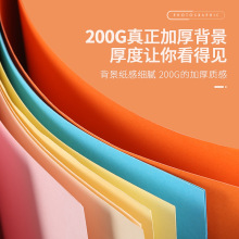 2.95*10米拍照背景摄影背景拍摄背景布淘宝影棚摆拍照单色背景纸