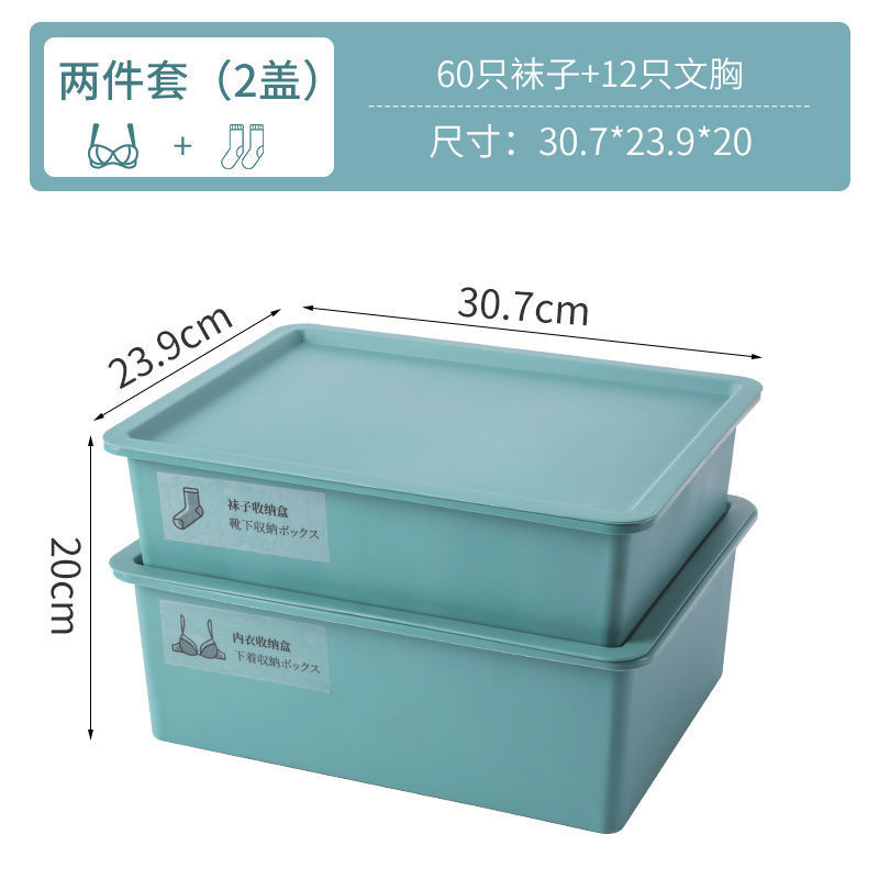 콰이어트블루 [대용량+곰팡이방지, 방충] - 박스2개 + 커버2개[속옷+양말] + 스티커