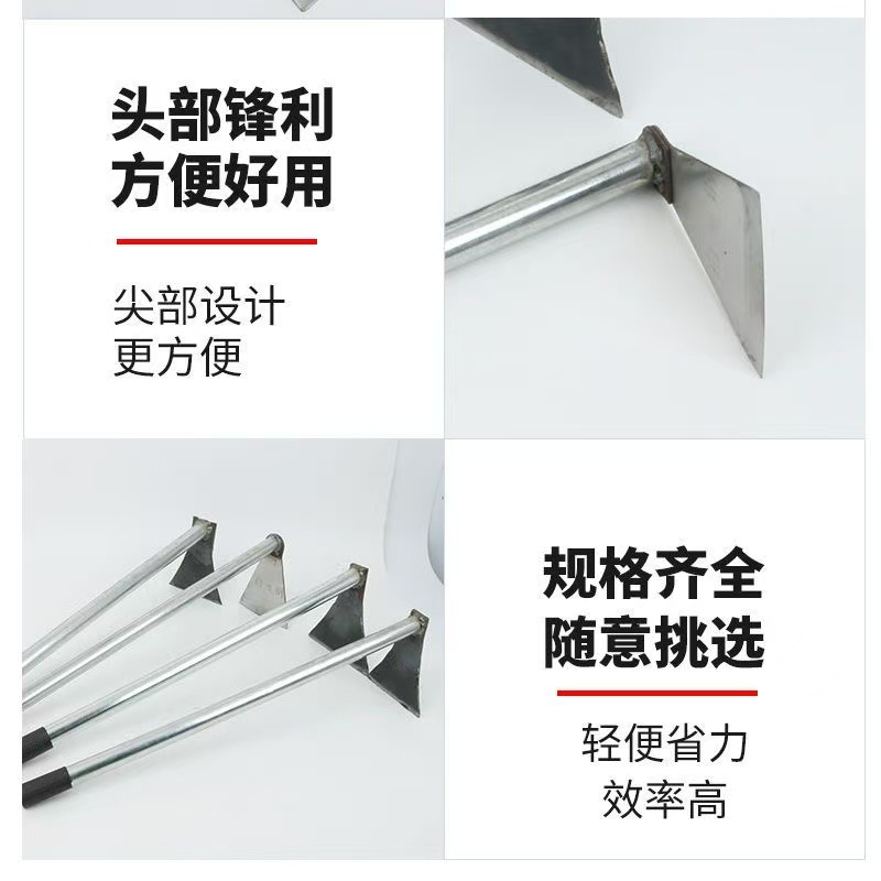 微信图片_202505091808133.jpg