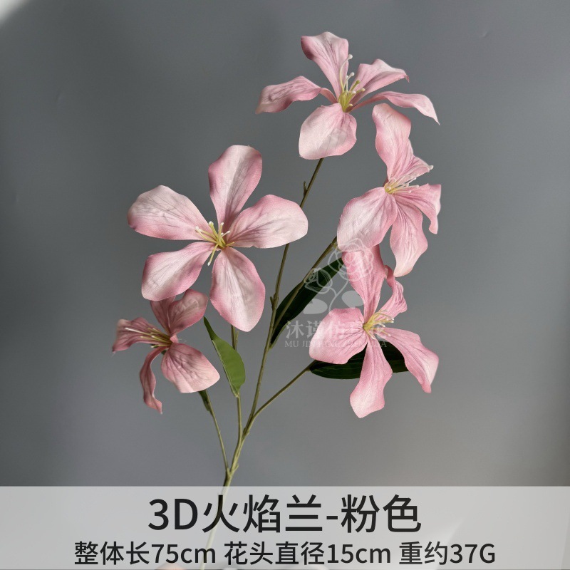 불꽃 난초