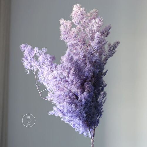 Immortal Penglai pine, cedar, hydrangea pine, preserved flowers and dried flowers. Directly approved by the manufacturer for wedding scene arrangement and flower material wholesale.