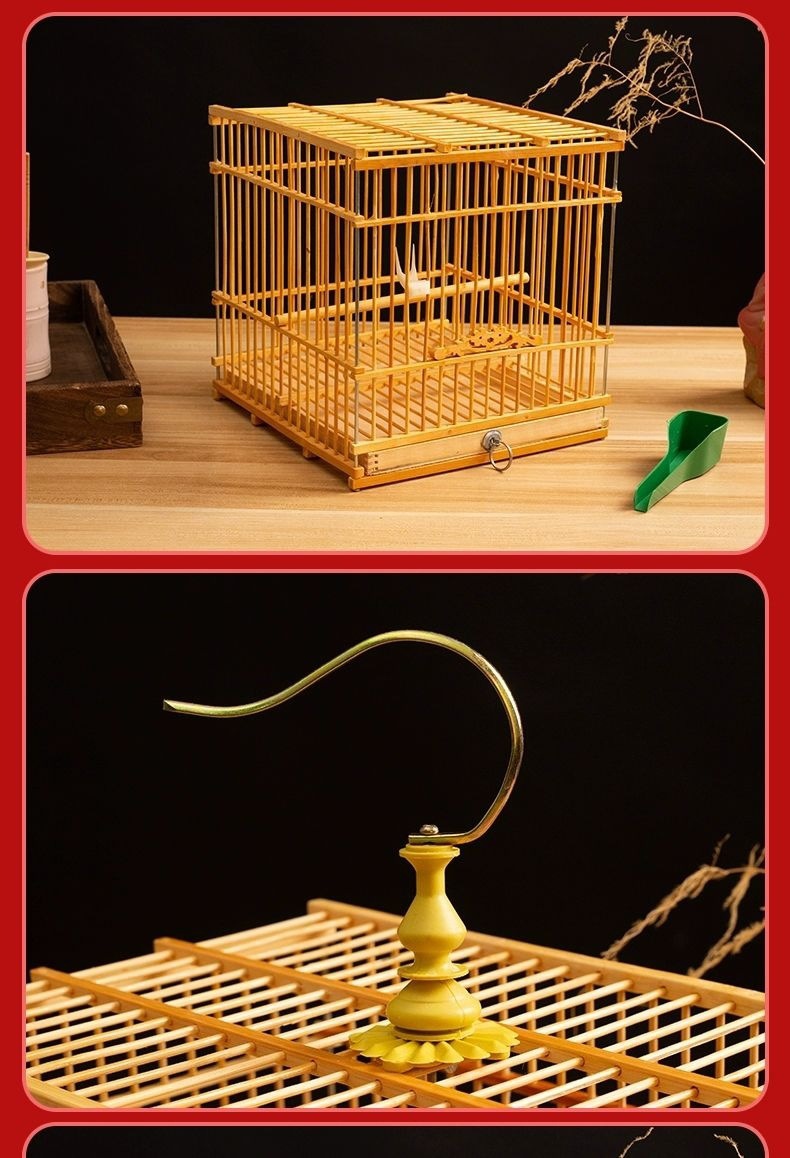 cc8f895d-fe0b-480d-950c-87c55e527210.jpe