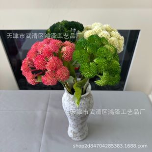 ����˻� �������мҾӔ[�O��ˇ�Ƶ� �͏d�b���˻�