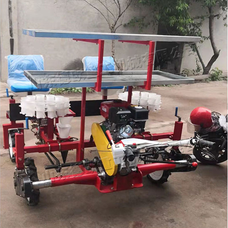 小型双垄移栽机 手推自走式秧苗种植机 农田塑料大棚农作物栽植机
