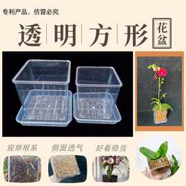 高透明塑料方形带底孔透气桌面创意水培花盆蝴蝶兰洋兰花盆