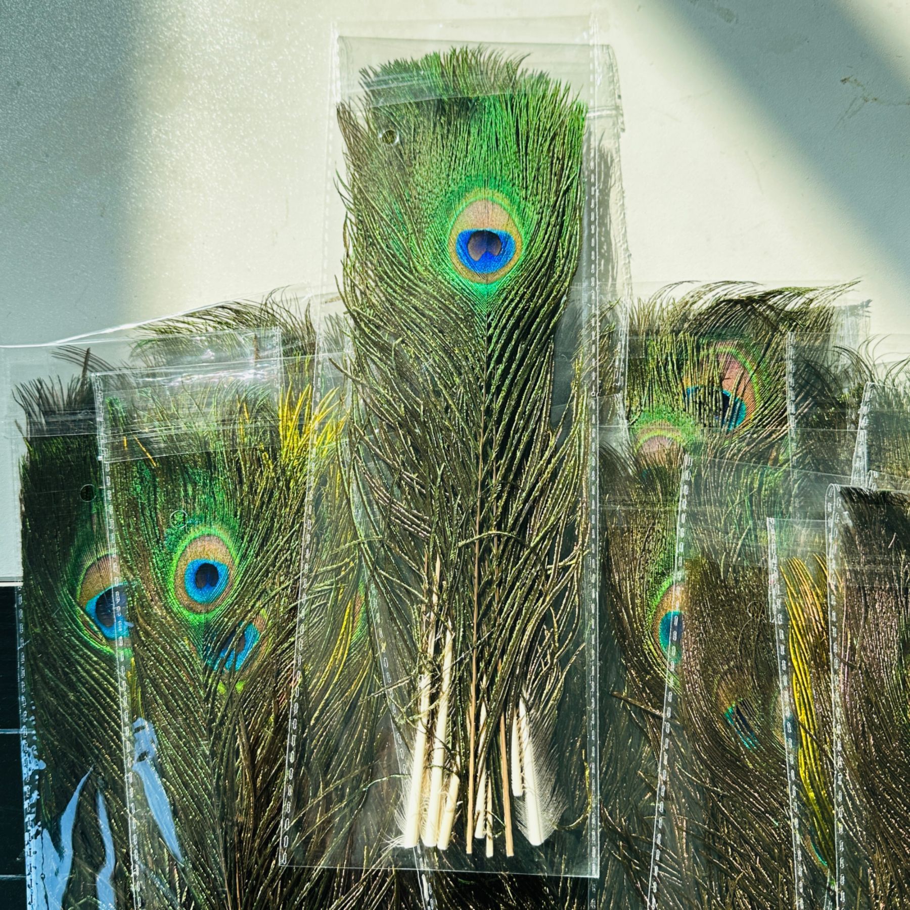 微信图片_20250117114858