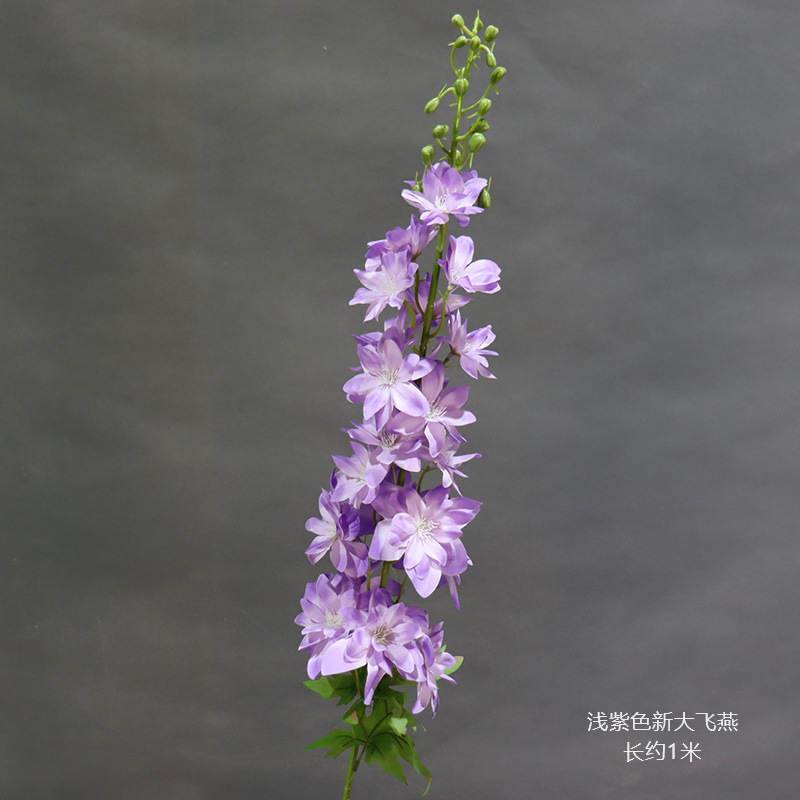 연한 보라색 새 대형 비행 제비의 가지