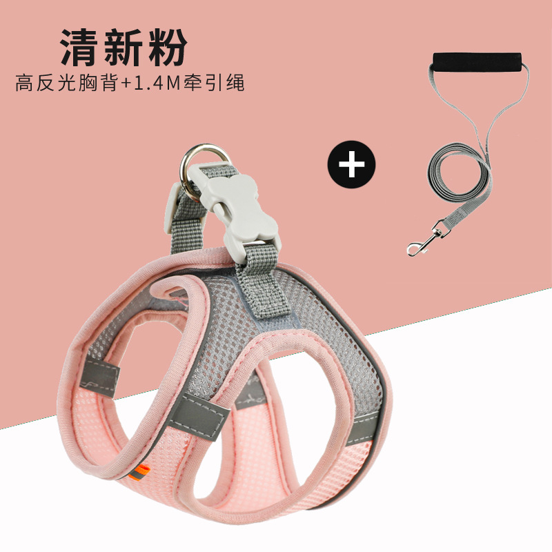 프레시 파우더 + 1.4m 비프리 팔찌