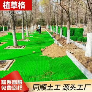 ֲ�ݸ񿹉��ӏ��;G�����؏�����܇����ƺ�����Bͣ܇������ֲ�ݸ�