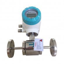Electromagnetic Flowmeter LYDC-H2003a411ADK Shanghai Shangrun Instrument