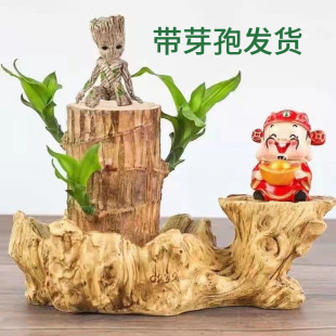 һ�����l���\�_����ѿ����ľ��̹ľ����������Կ͏dˮ��ֲ��