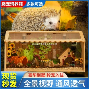 ���o��B��������������BС����\����������ؿر������쾰