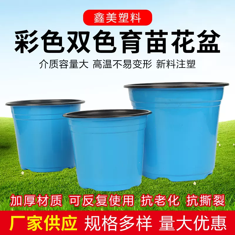 加厚蓝色紫色PP塑料花盆家庭园艺多肉花卉育苗盘简易彩色双色盆