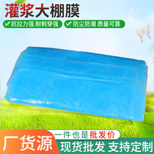 定制农用灌浆大棚膜PE塑料膜蓝色大棚膜温室透明加厚塑料薄膜厂家