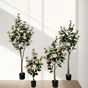 ����軨��ɽ�軨�Ҿ��b��滨�ٻ��Ƶ��bS�����l   ��Y��