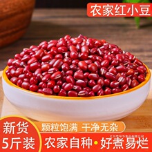 �¼t��5��|���tС���r���ԷN�ǳ�С�������W�t��޲��������s�Z