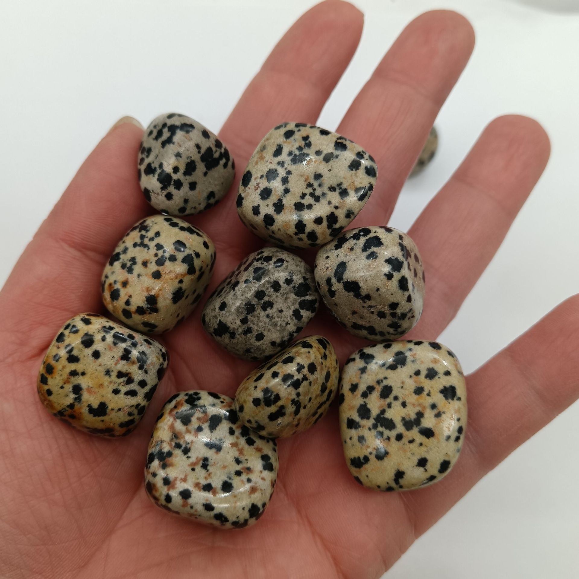 斑点石500g / 15-20mm