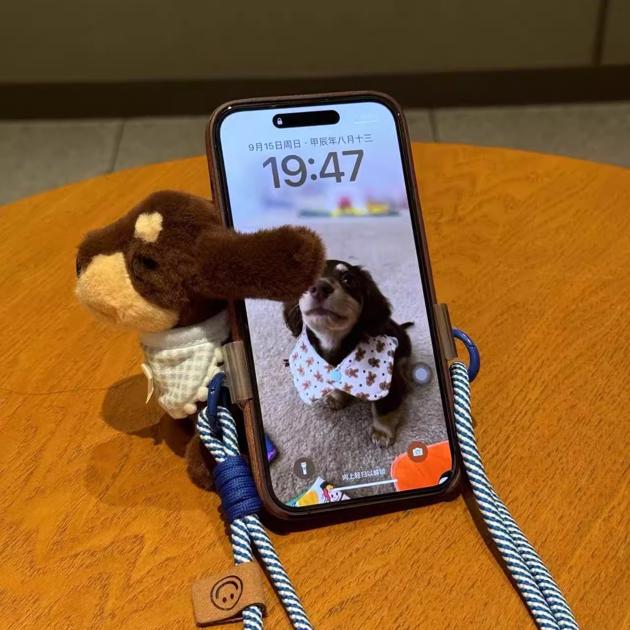 Cute dibujos animados salchicha perro teléfono móvil back clip cadena muñeca de peluche accesorios de cuerda móvil